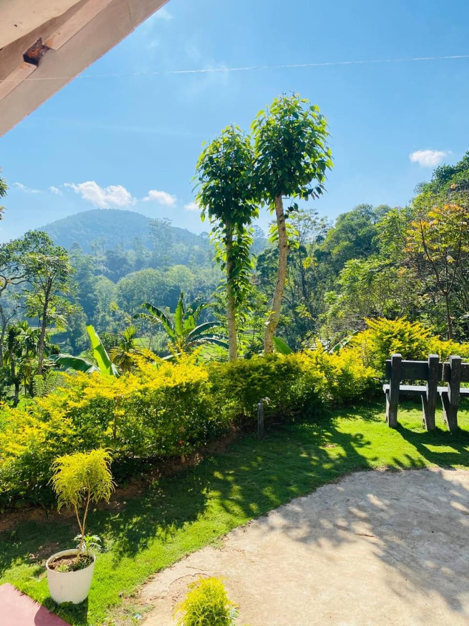 Ella Willow Cottage 客房 照片
