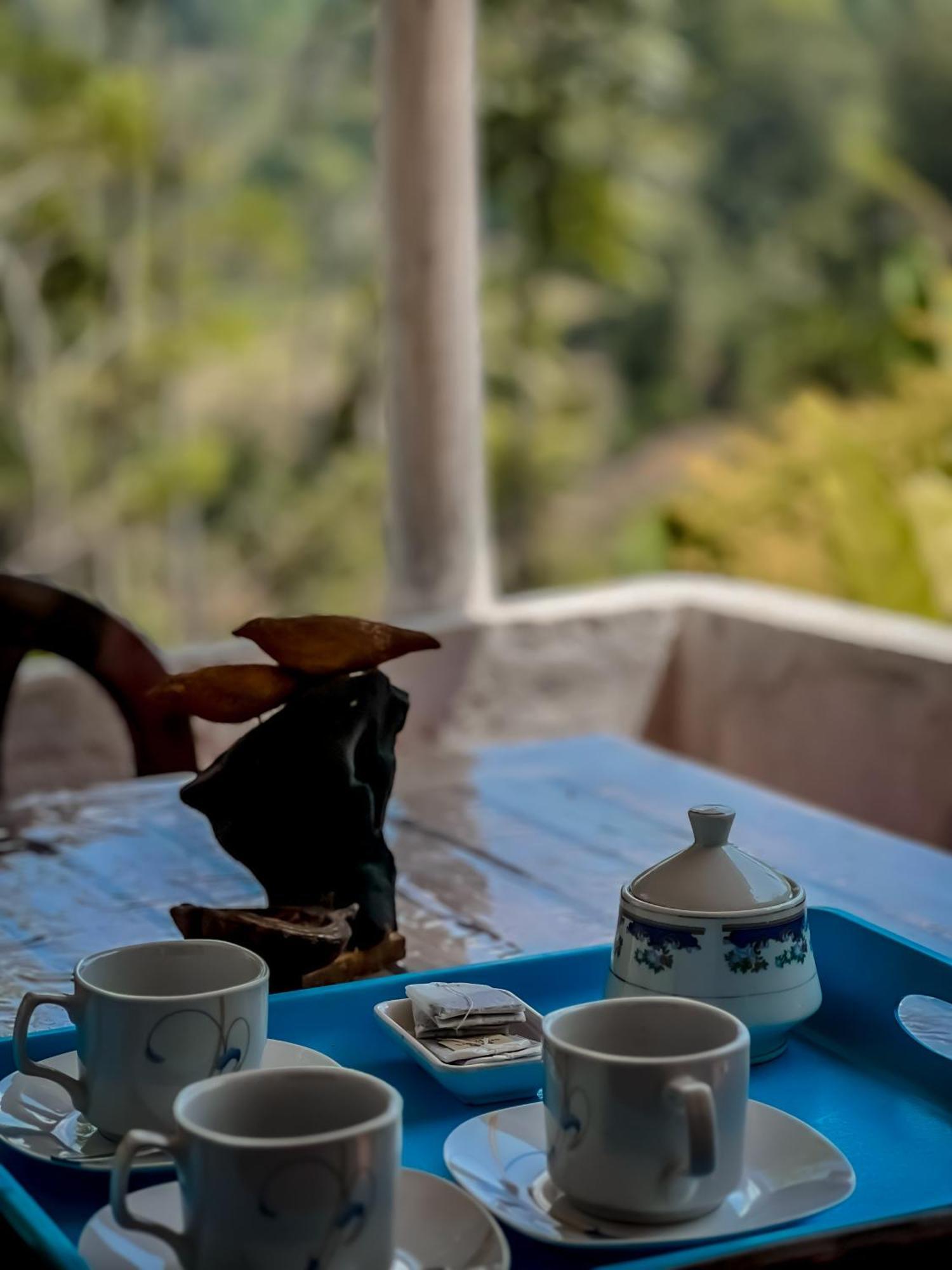 Ella Willow Cottage 客房 照片