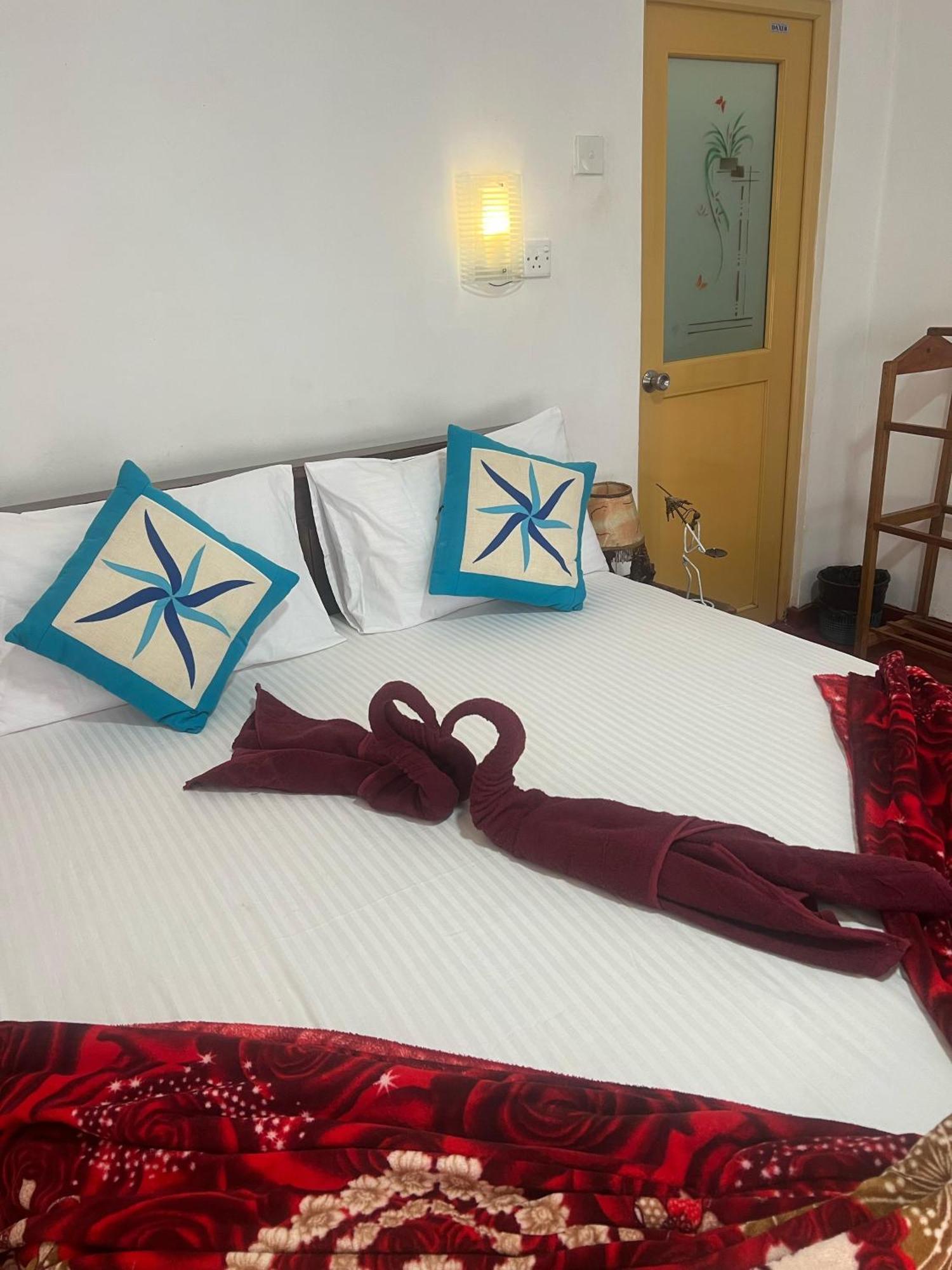Ella Willow Cottage 客房 照片
